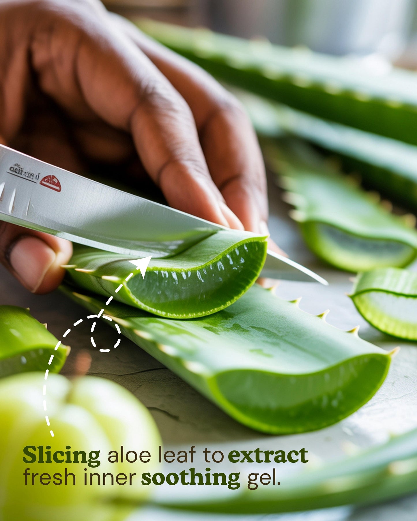 All Day GHRITA Daily Moisturizer