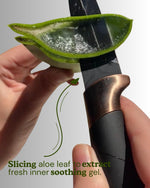 All Day GHRITA Daily Moisturizer